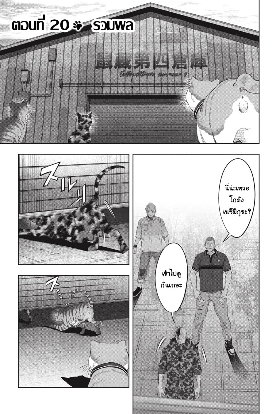 Nyankees 20-รวมพล