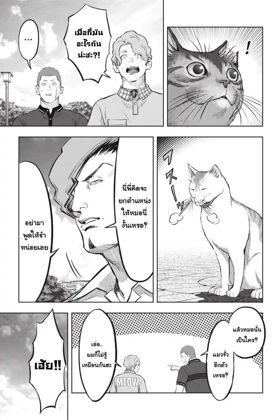 Nyankees 16-แมวผู้บุกรุก