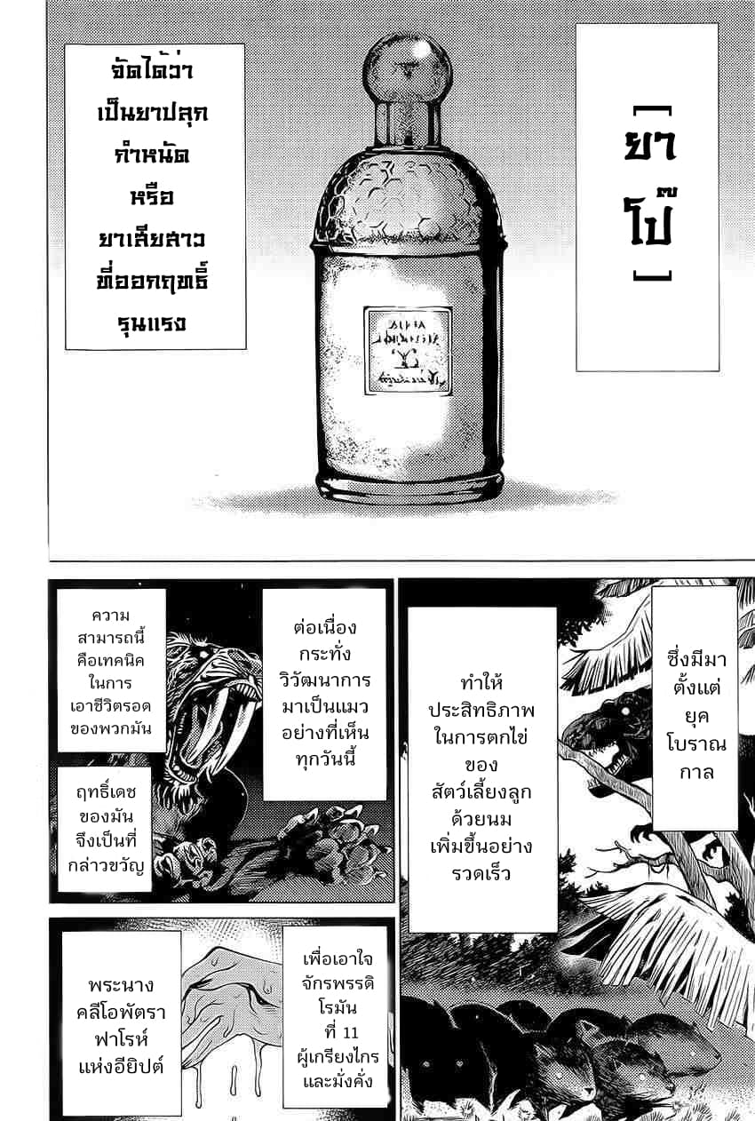 Killing Bites เขี้ยวพิฆาตพันธุ์ผสม 17-17