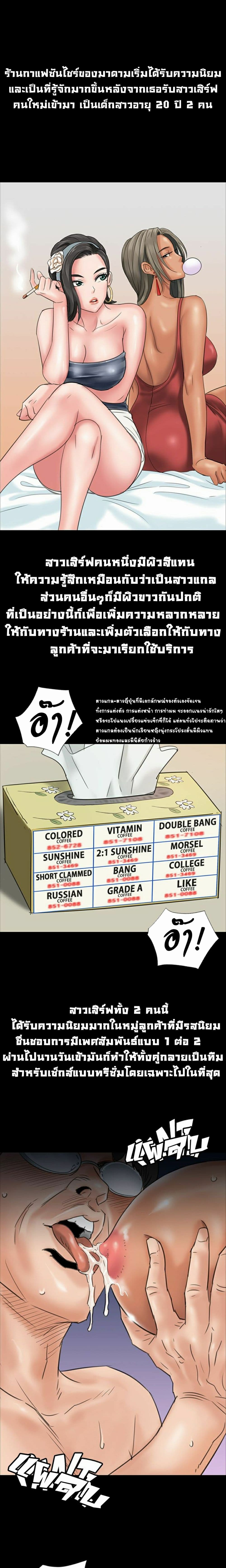 Queen Bee 8-8