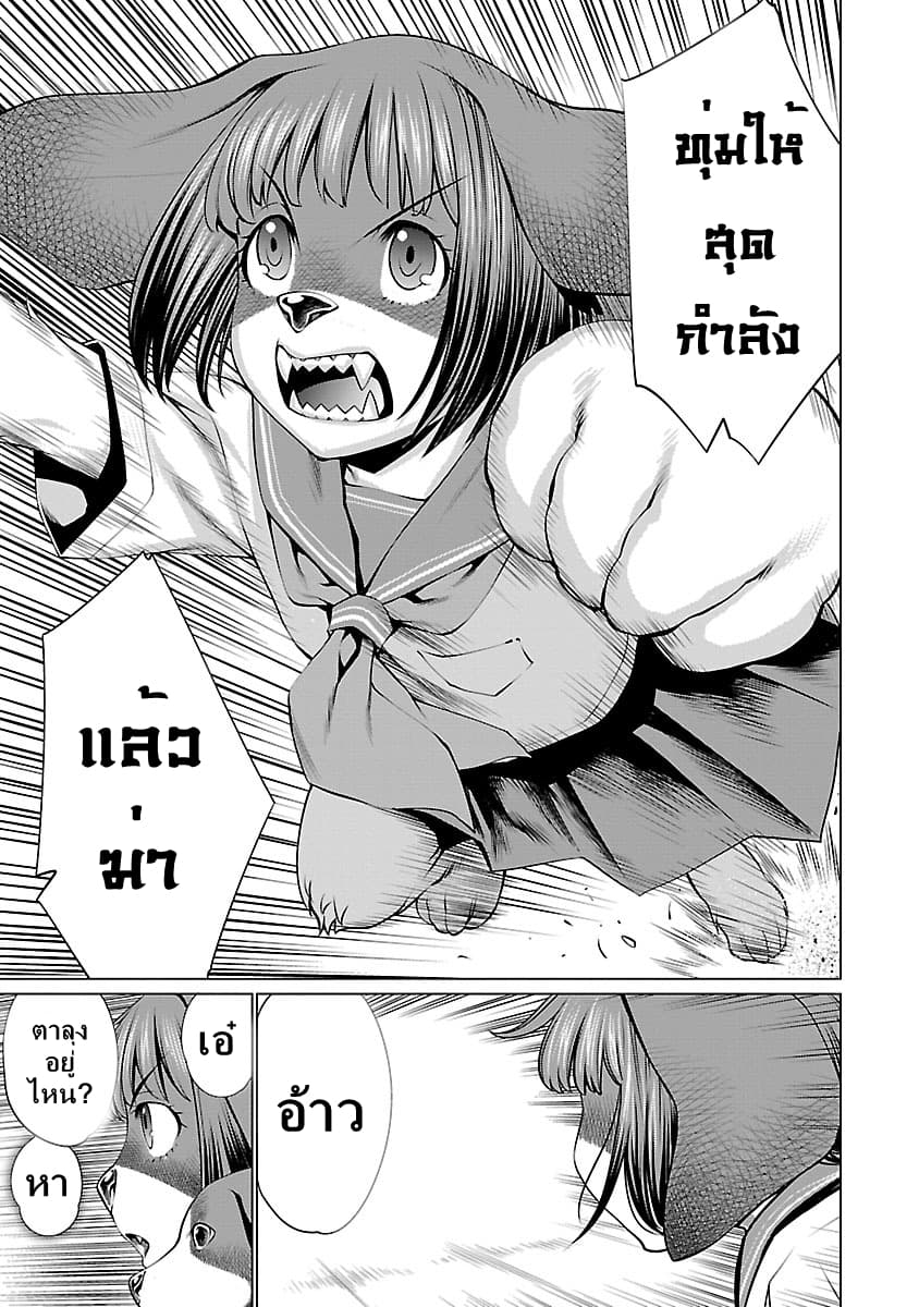 Killing Bites เขี้ยวพิฆาตพันธุ์ผสม 38-แชมป์เปี้ยนไม่ได้เป็นแค่ความฝัน