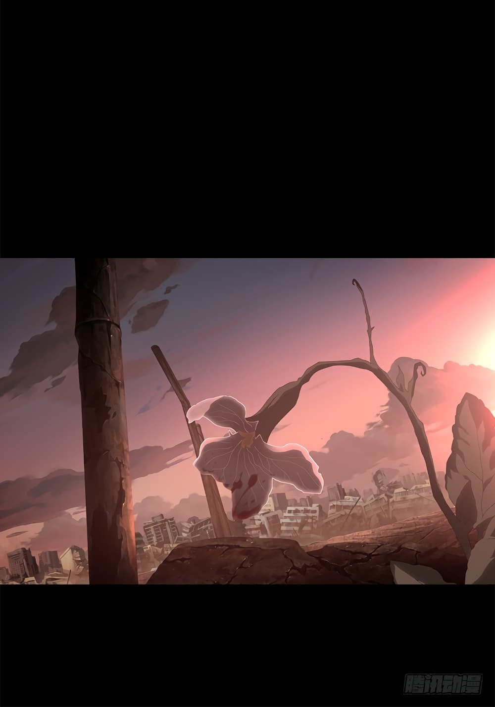 Province at dawn 1-1