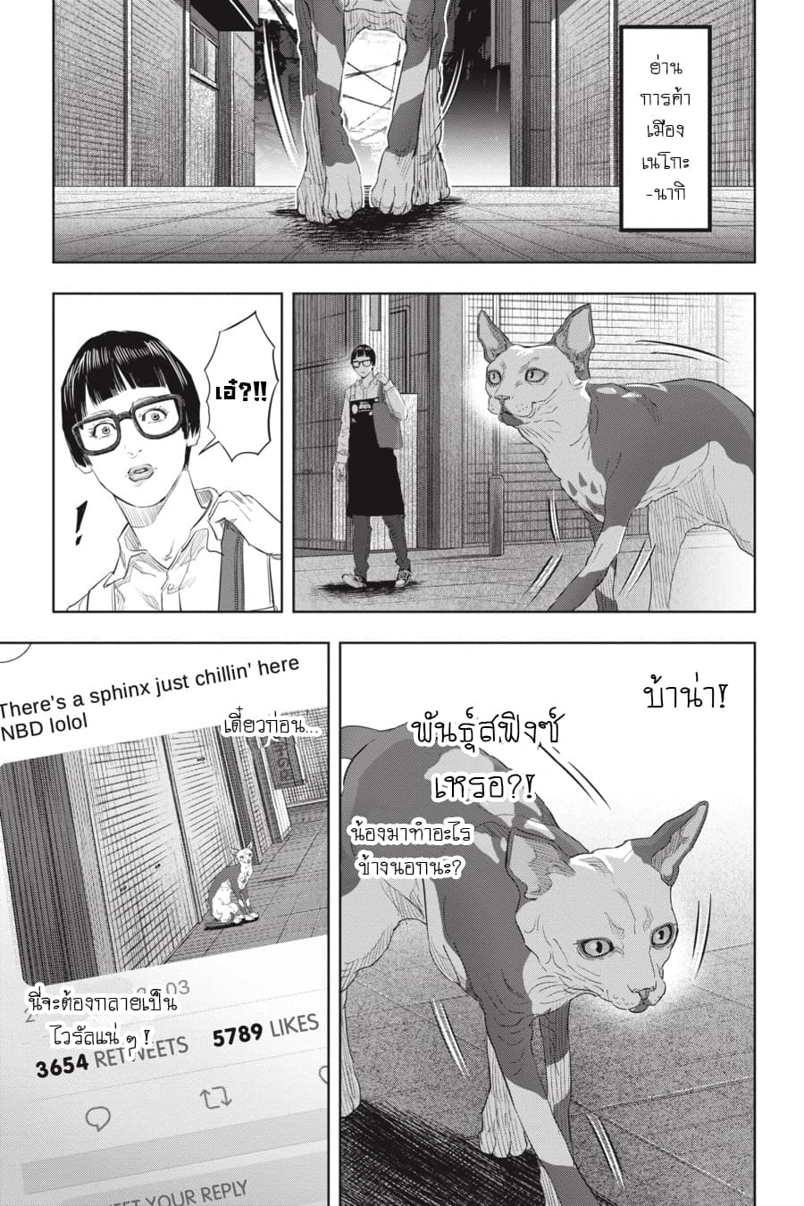 Nyankees 19-โกดังเนซึมิกุระ