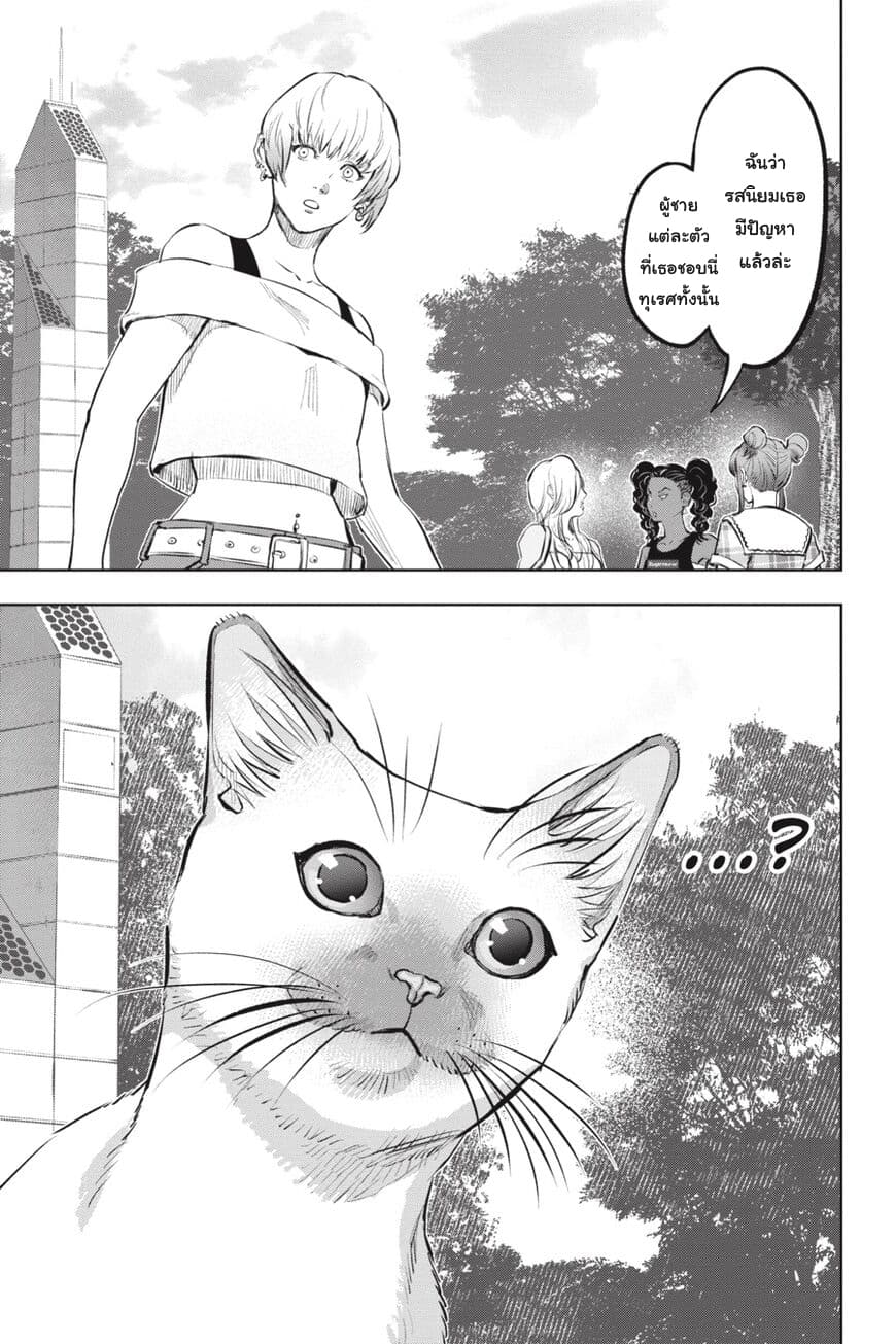 Nyankees 17-อิจฉาแบบแมวๆ
