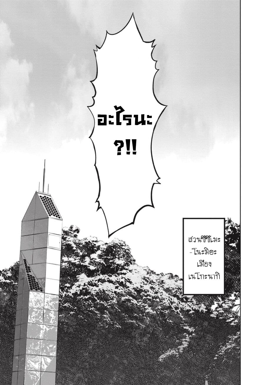 Nyankees 17-อิจฉาแบบแมวๆ