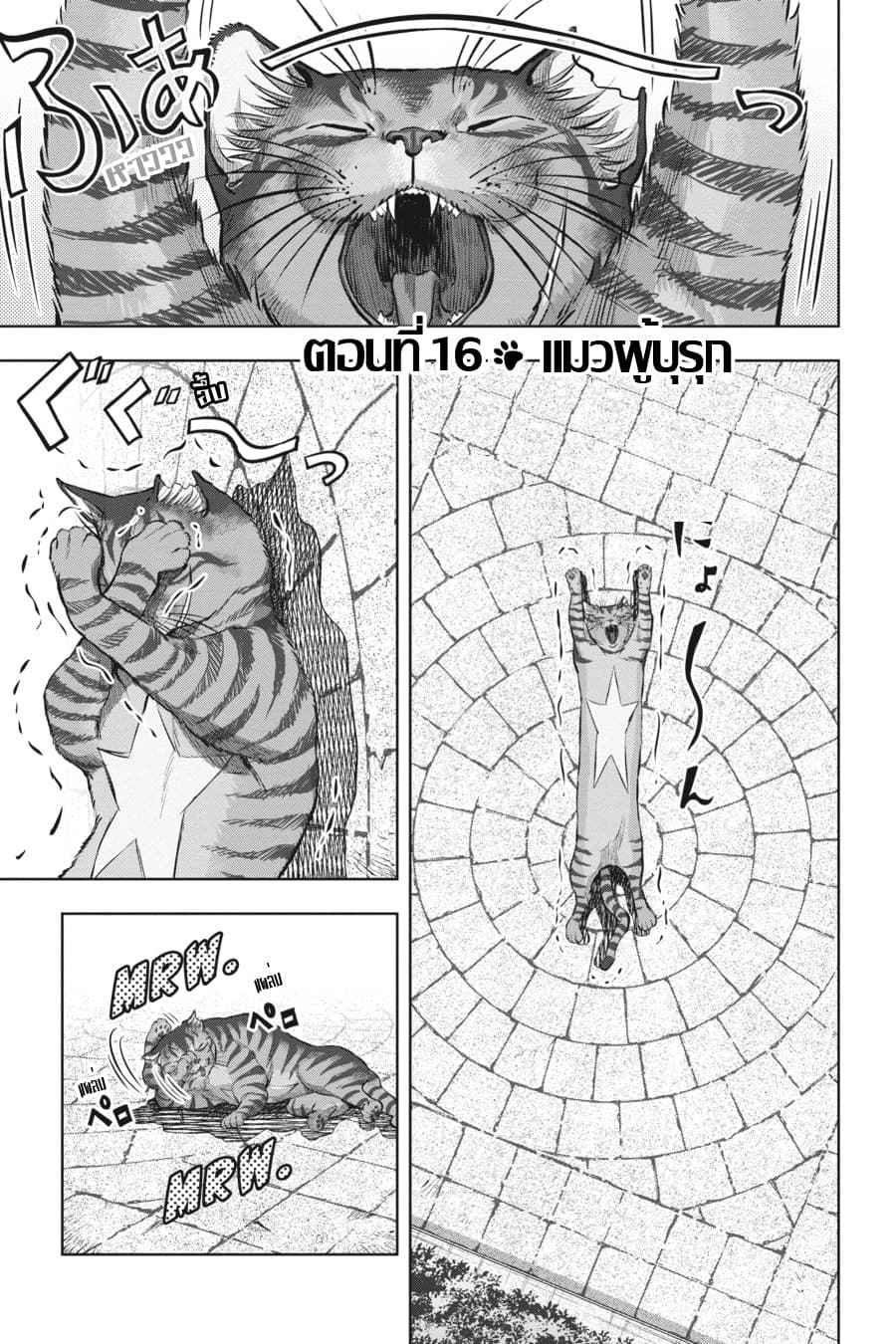 Nyankees 16-แมวผู้บุกรุก
