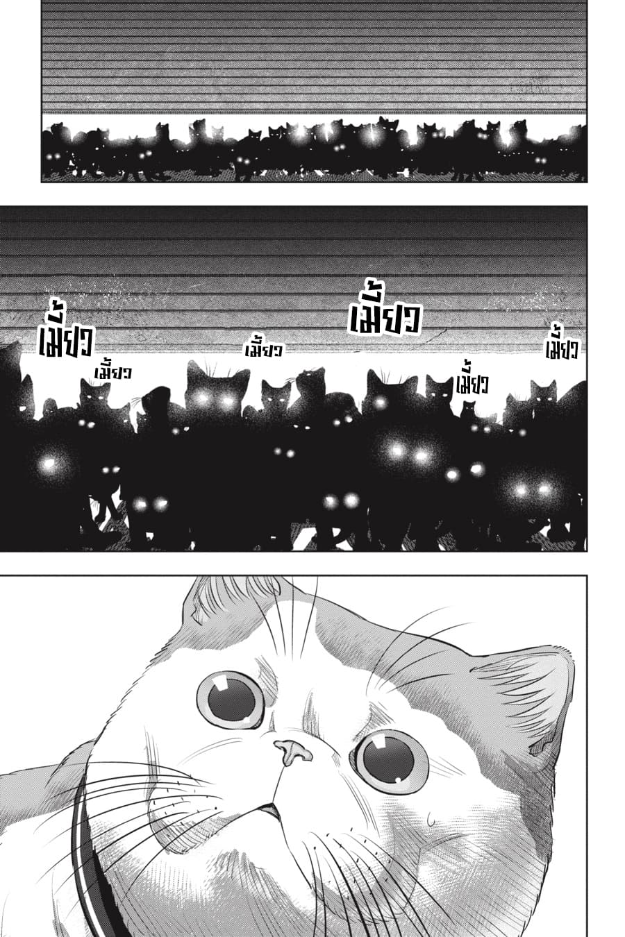 Nyankees 20-รวมพล