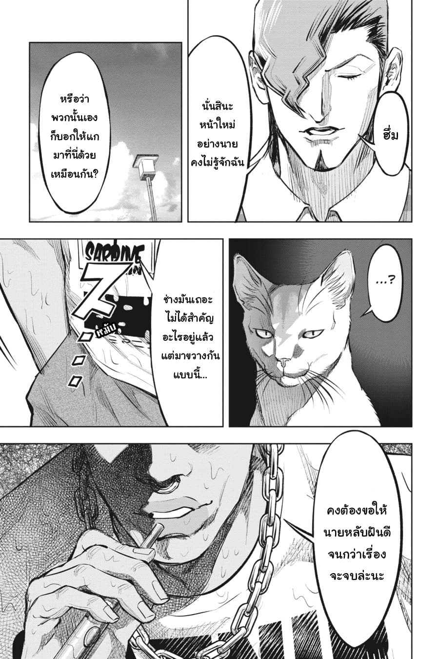 Nyankees 16-แมวผู้บุกรุก