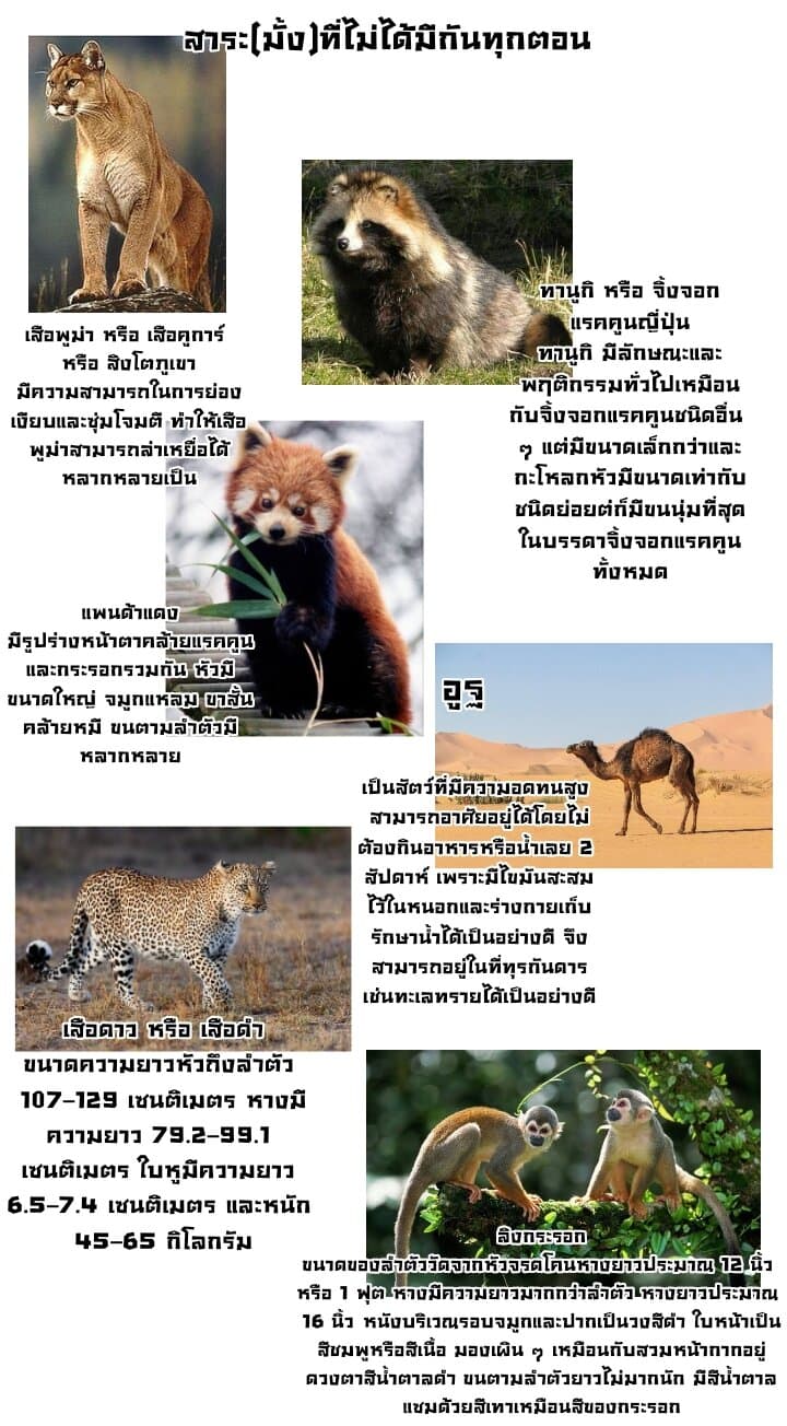 My Perfect Girlfriend! แฟนของผมสุดยอดที่สุด 6-6