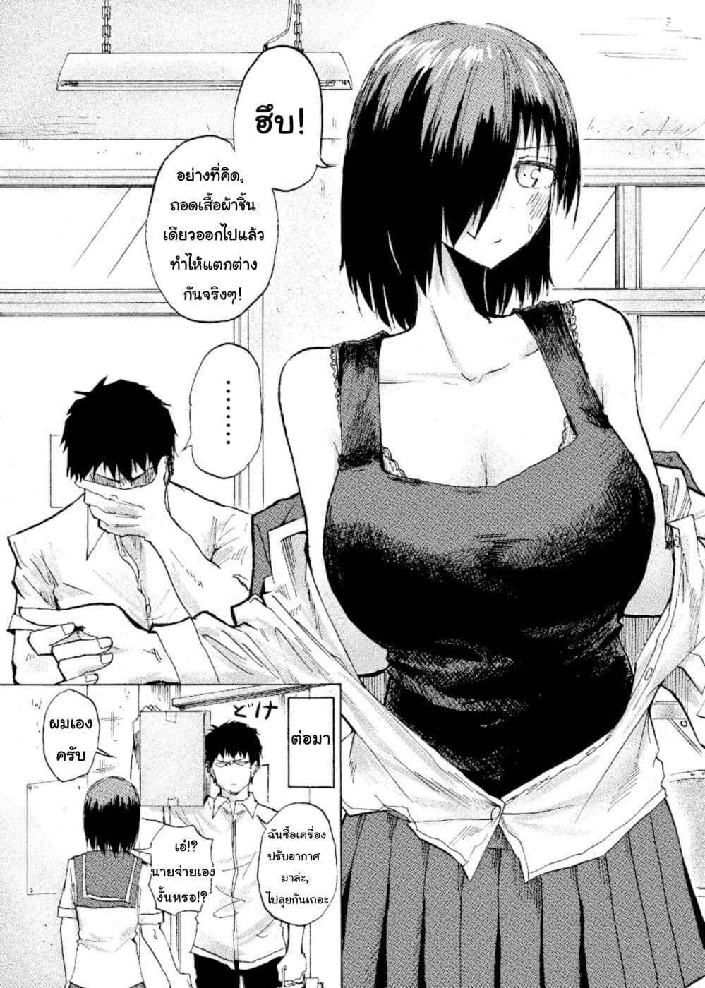 Shukan Brick 22-22