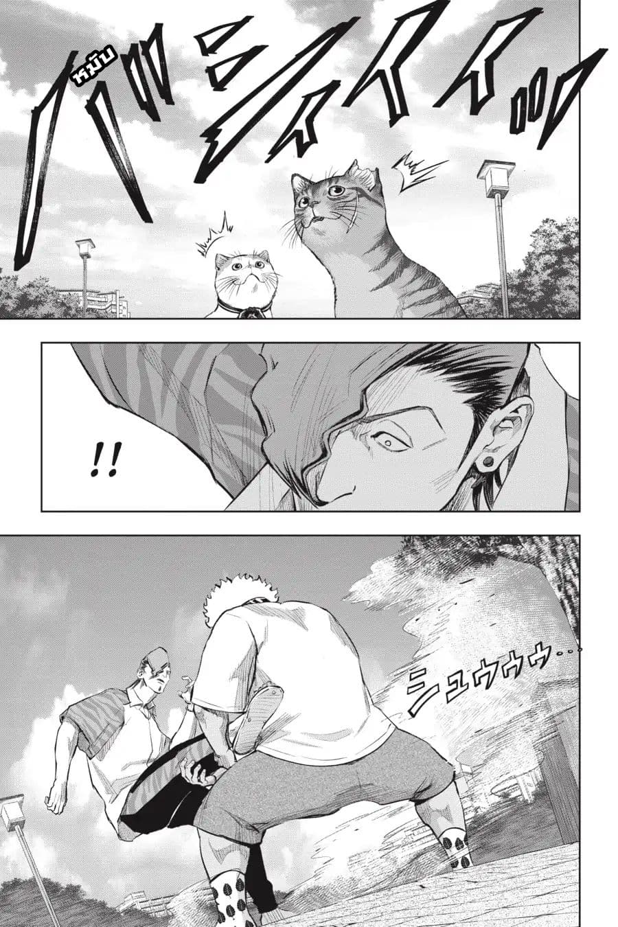 Nyankees 16-แมวผู้บุกรุก