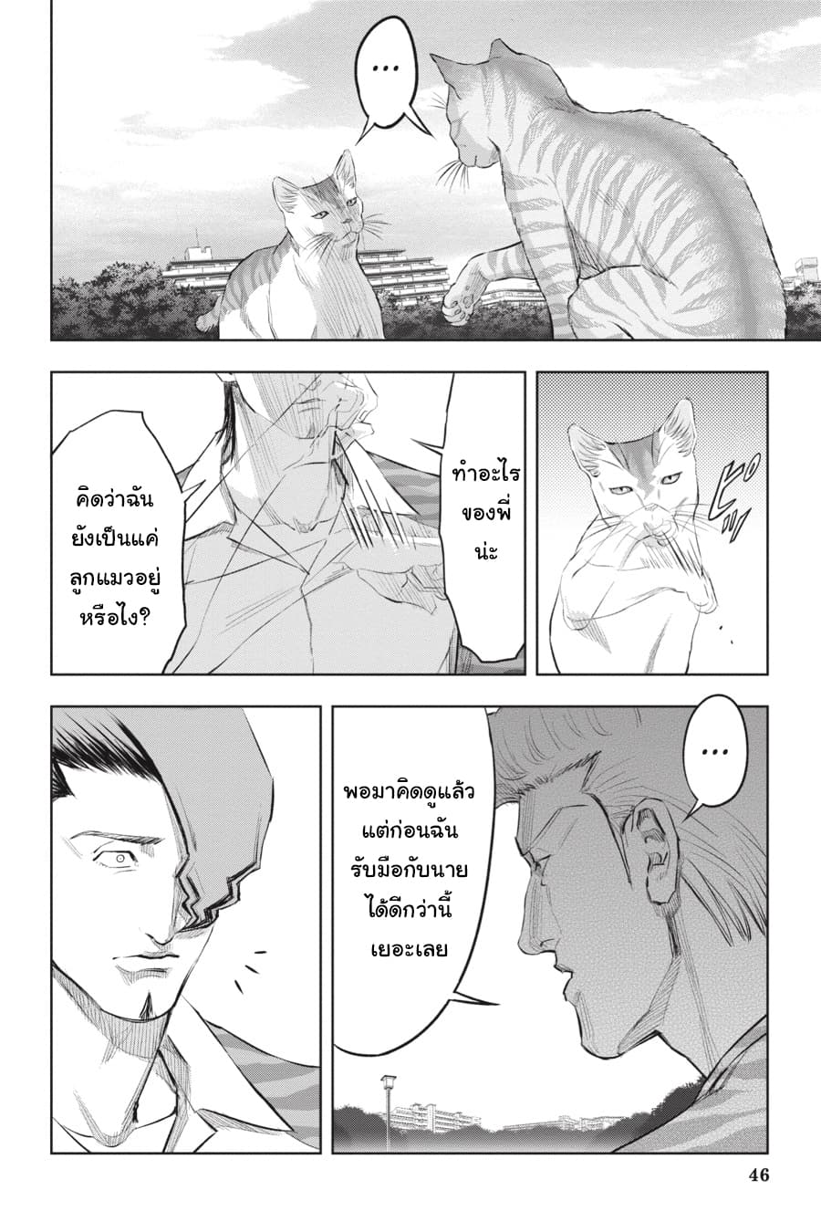 Nyankees 18-ในสายตาของบอส