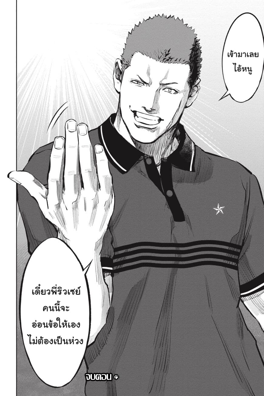Nyankees 17-อิจฉาแบบแมวๆ