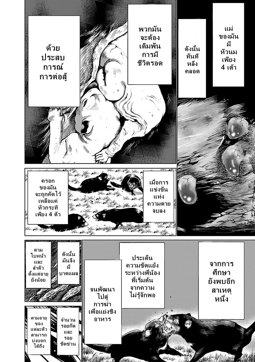 Killing Bites เขี้ยวพิฆาตพันธุ์ผสม 36-Killing Bites ไม่ได้ง่ายขนาดนั้น