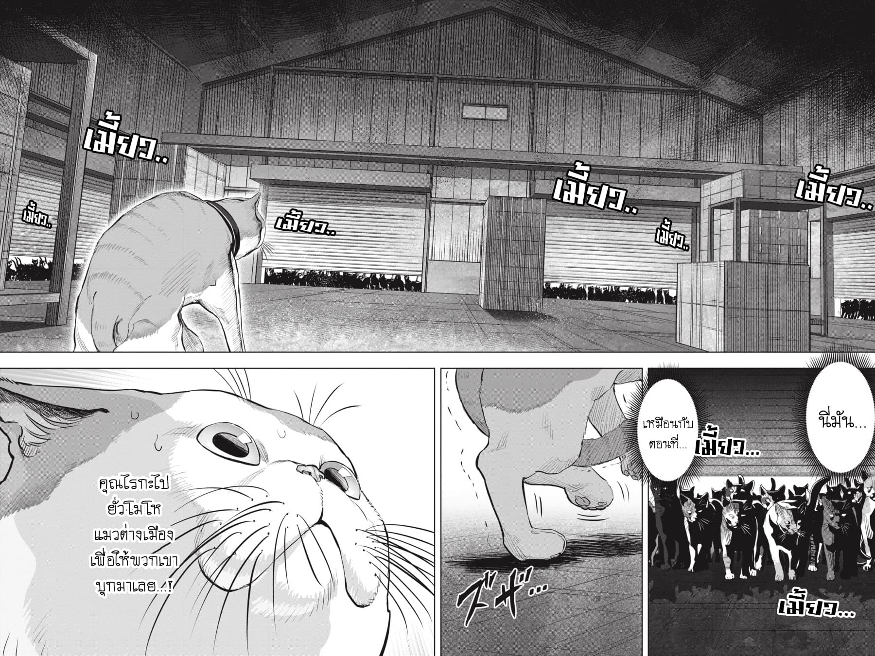 Nyankees 21-TUNA-FLAVORED SQUISN 'N' SQUIRT