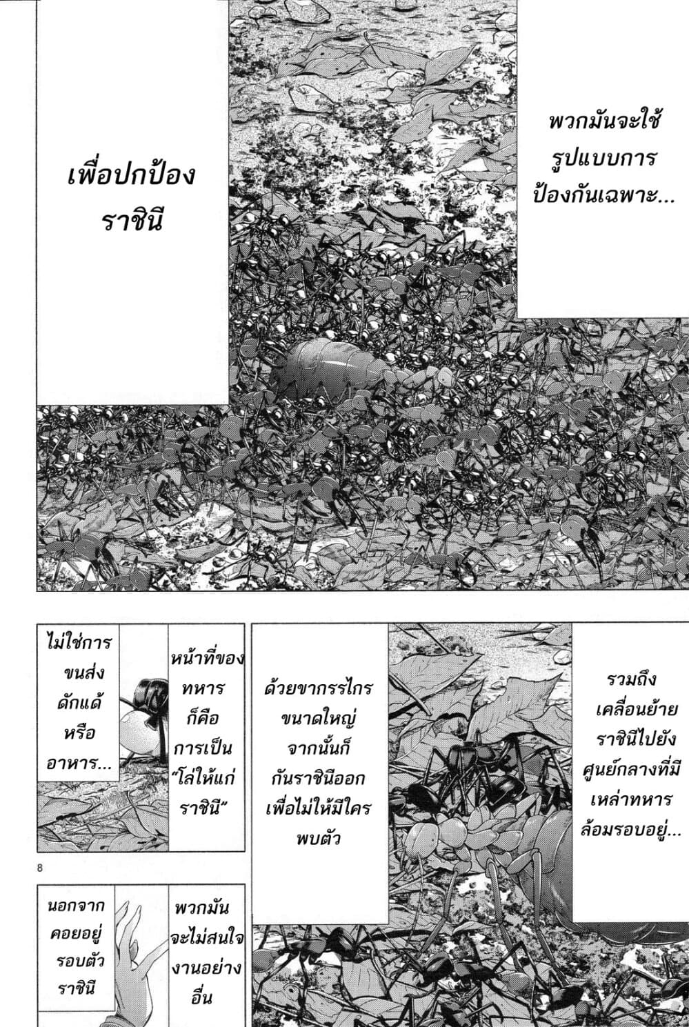 Himenospia 31-ความรัก
