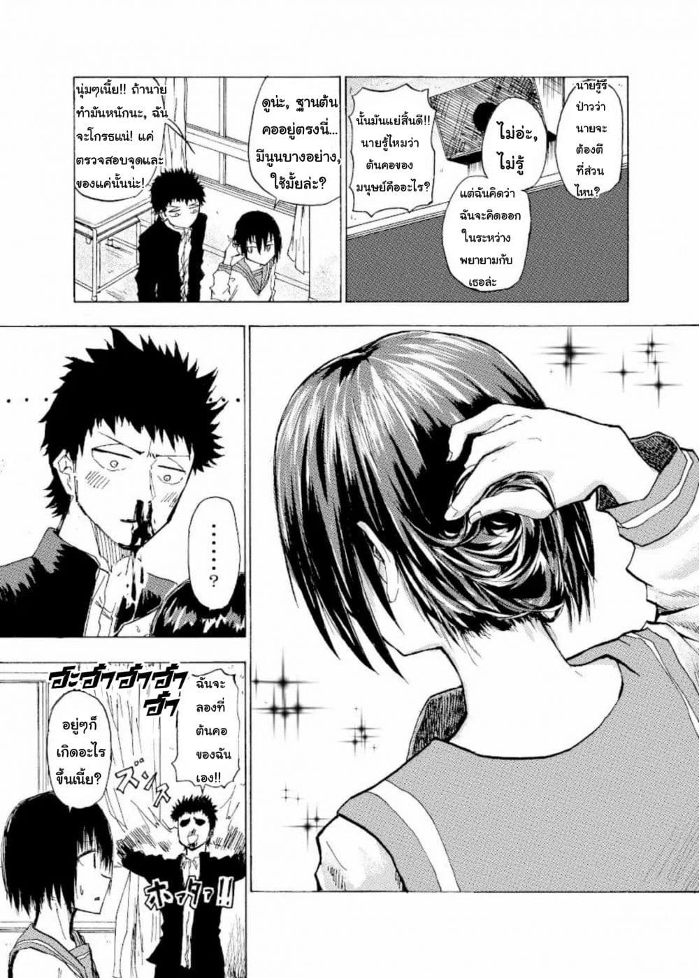 Shukan Brick 16-16