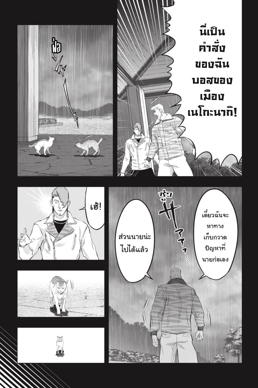 Nyankees 18-ในสายตาของบอส