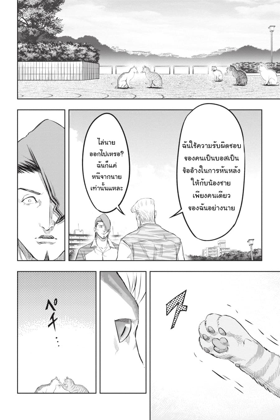 Nyankees 18-ในสายตาของบอส