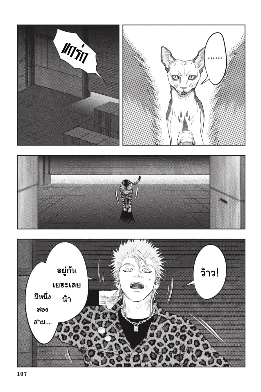 Nyankees 20-รวมพล