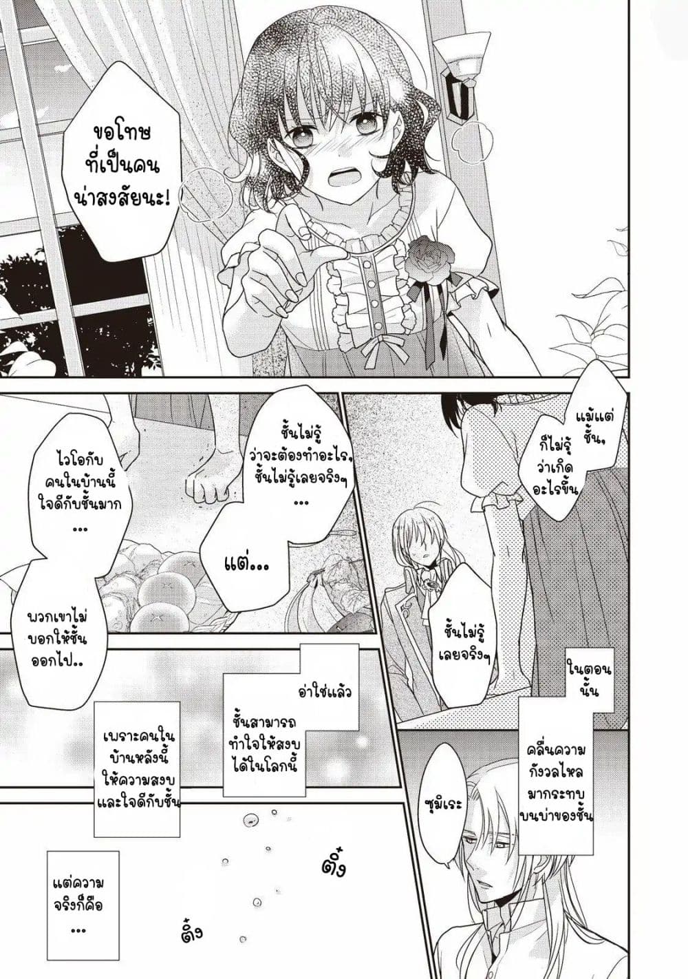 Tsutaou 3-3