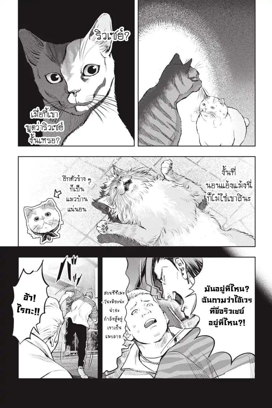 Nyankees 16-แมวผู้บุกรุก