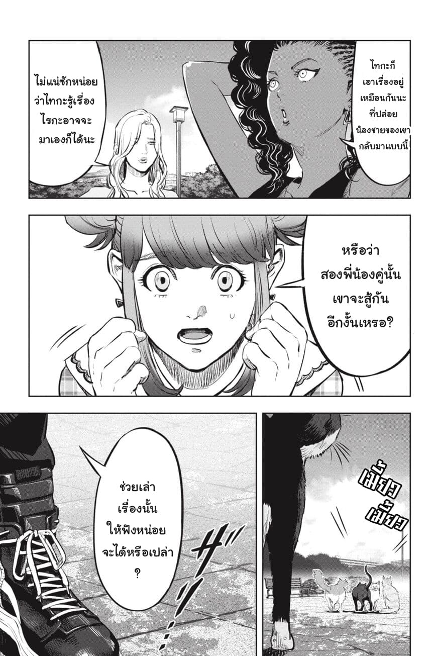 Nyankees 17-อิจฉาแบบแมวๆ