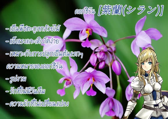 Monster no Goshujin-sama สุดสายใยสไลม์ยอดรัก 24-24