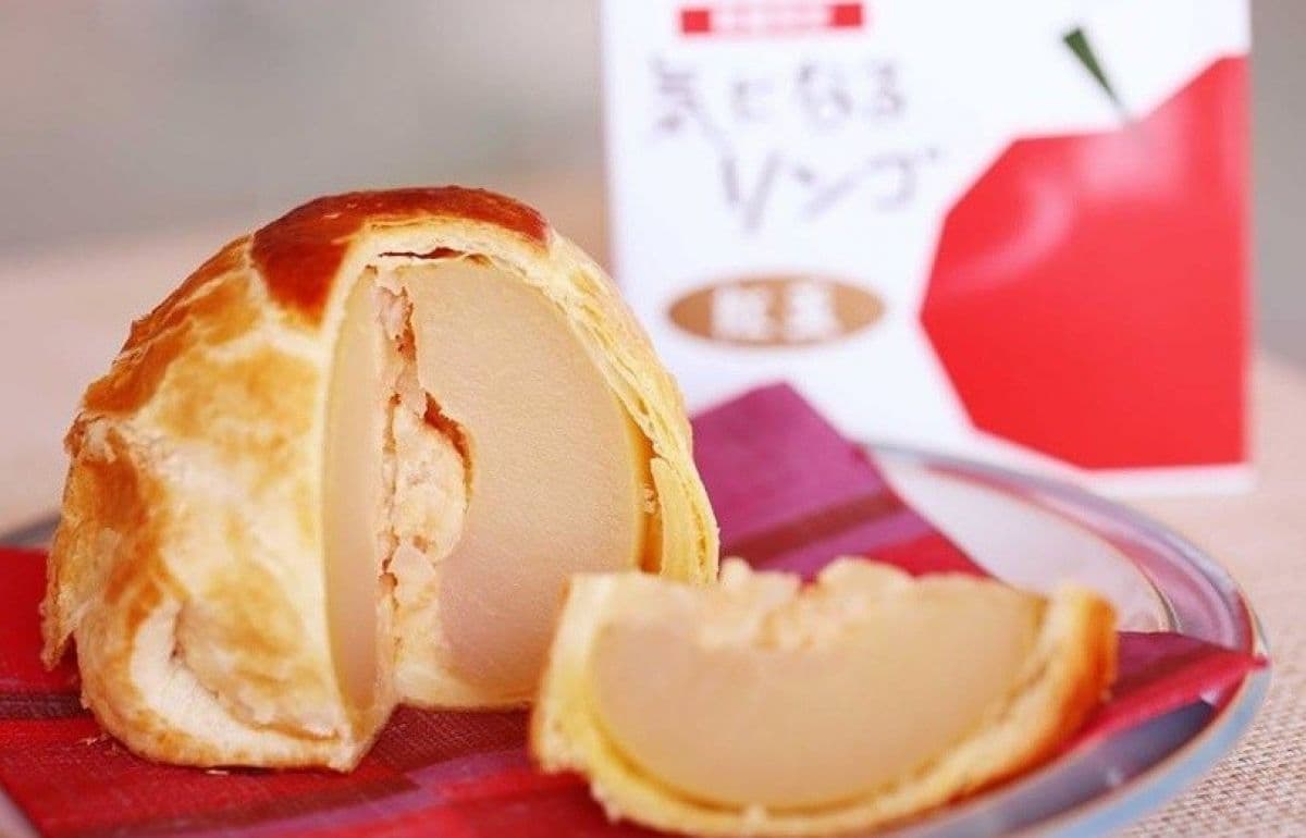 Maiko-san Chi no Makanai-san 19-อาหารที่ช่วยคลายความกังวล n