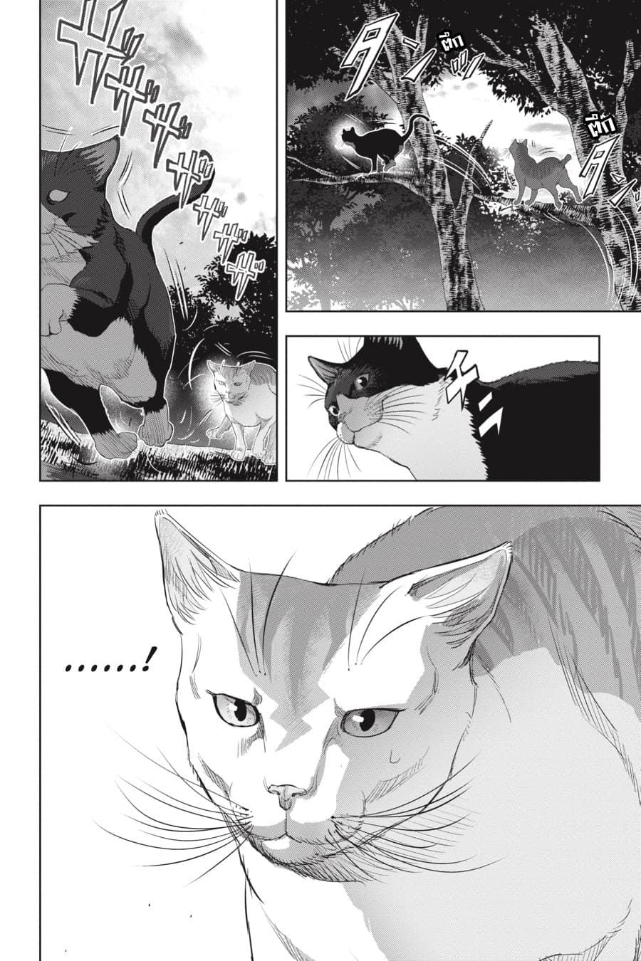 Nyankees 19-โกดังเนซึมิกุระ