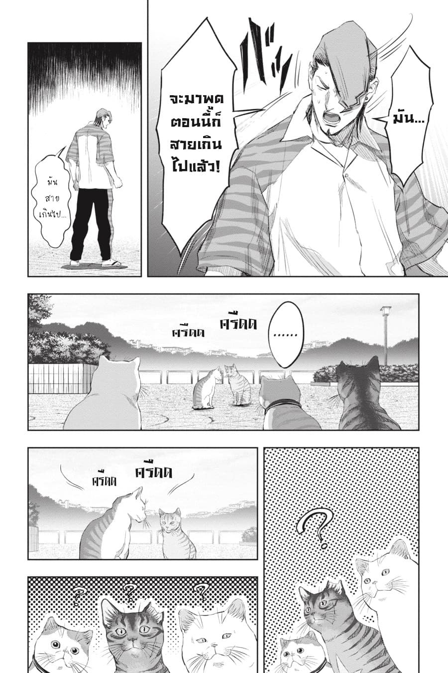 Nyankees 18-ในสายตาของบอส
