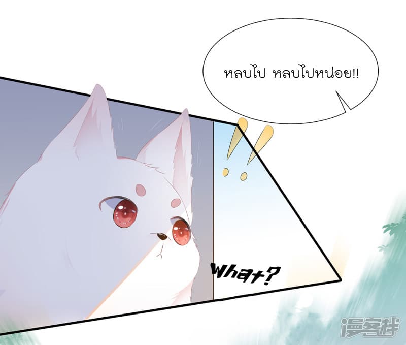 Fox Concubine Don't Play With Fire 1-1