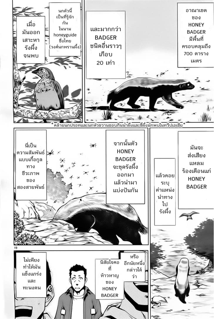 Killing Bites เขี้ยวพิฆาตพันธุ์ผสม 6-นี่นะ...มันสนุกสุดๆเลยล่ะ