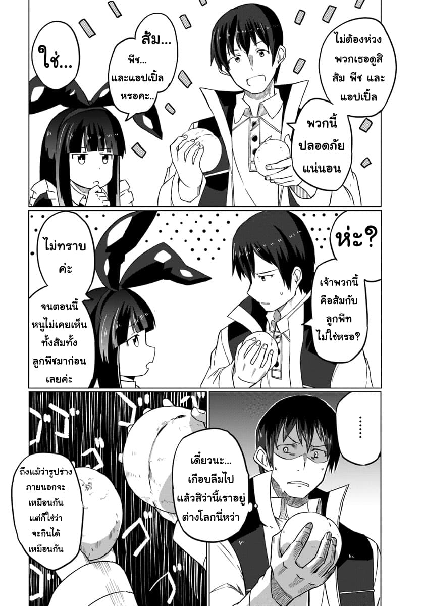 Magi Craft Meister 12-12