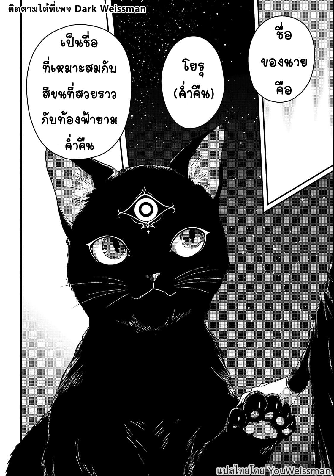 Assassin de aru ore no Sutetasu ga Yuusha yori mo Akiraka ni Tsuyoi Nodaga 11-11
