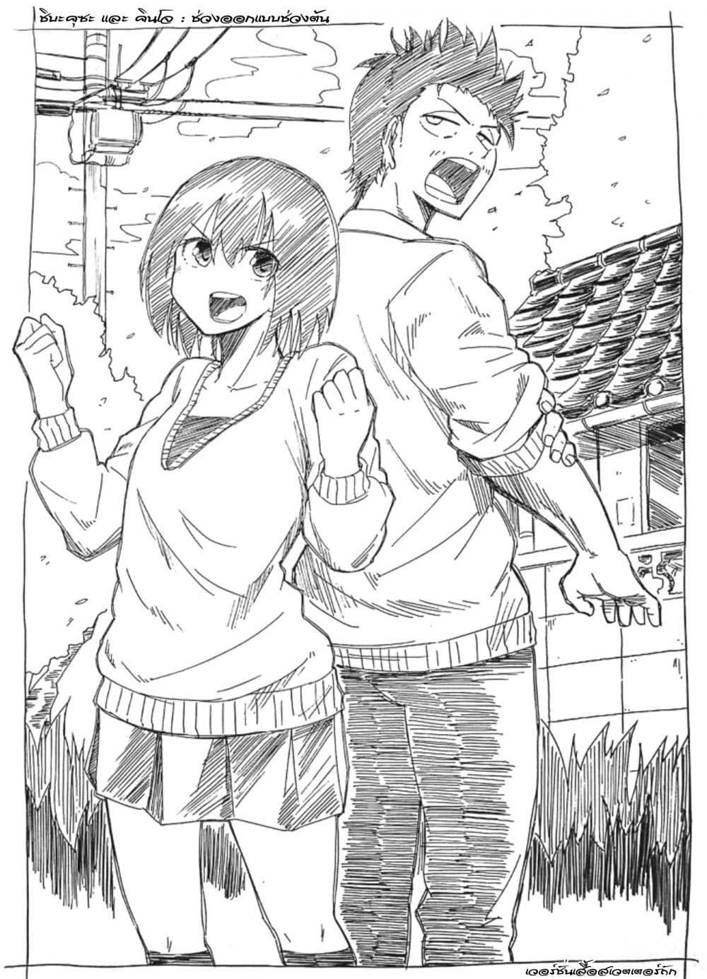Shukan Brick 20-20