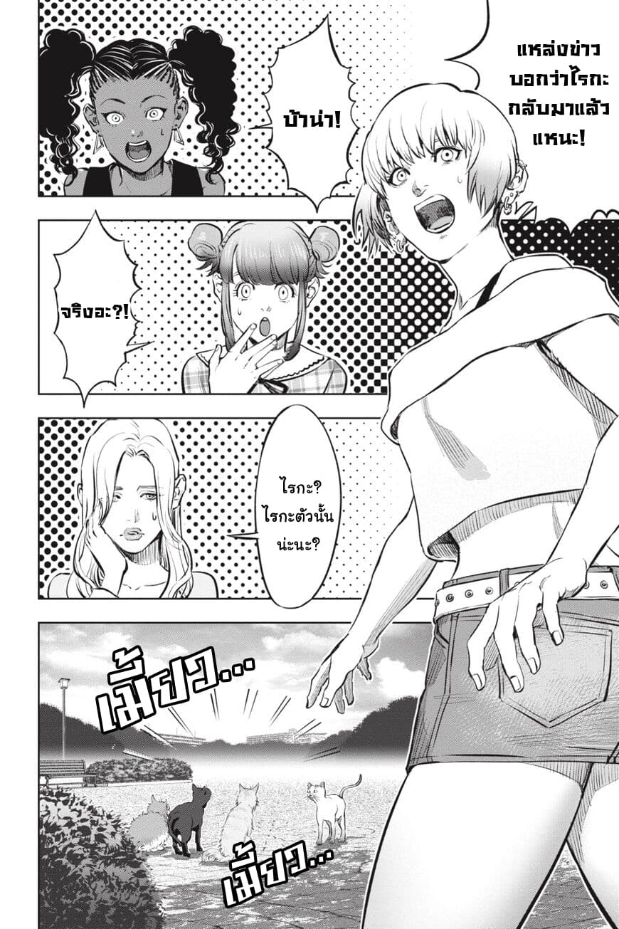 Nyankees 17-อิจฉาแบบแมวๆ