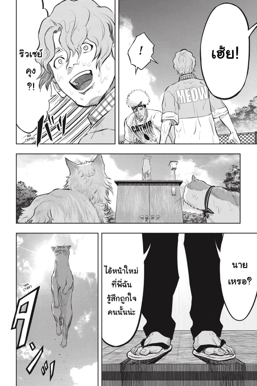 Nyankees 16-แมวผู้บุกรุก