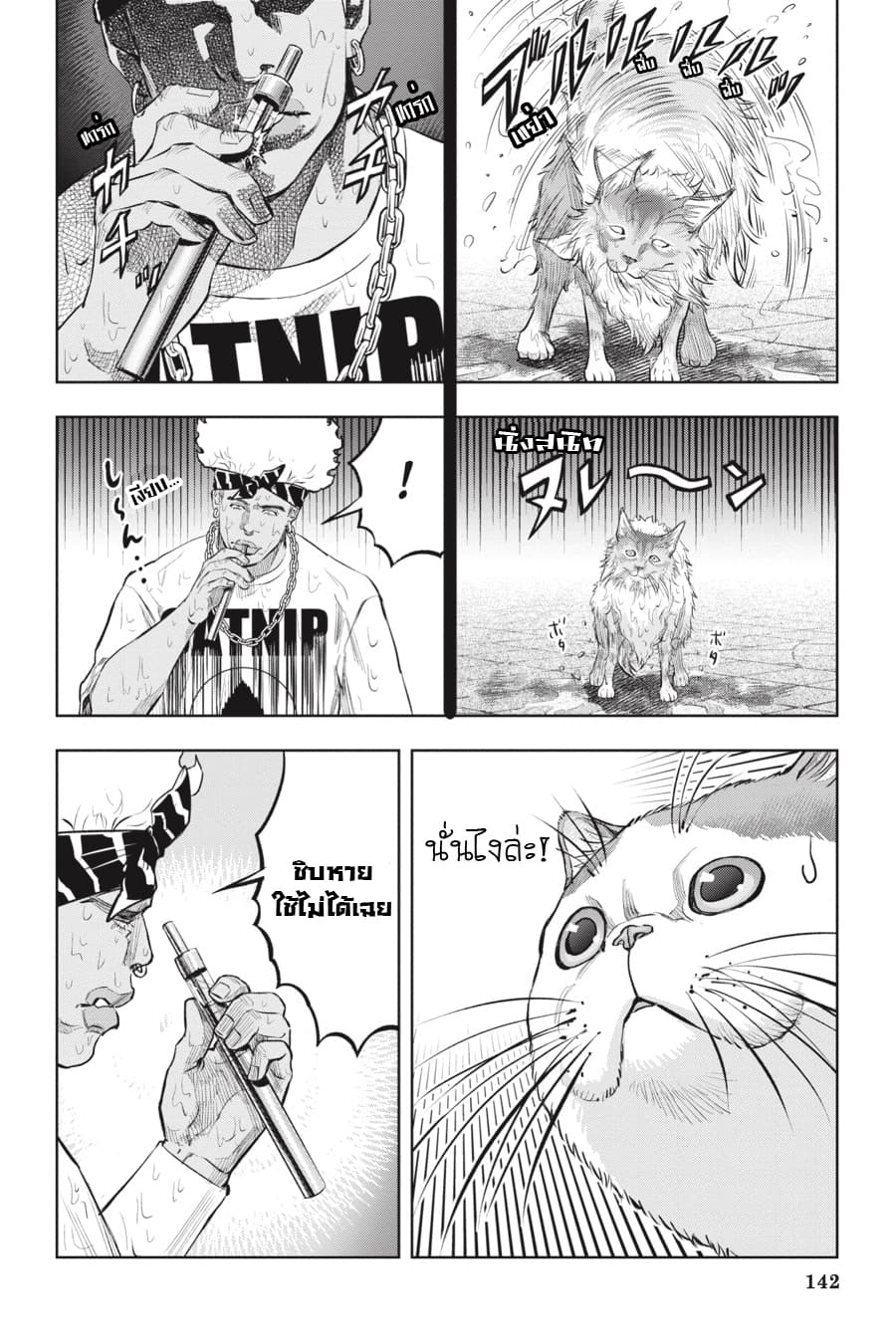 Nyankees 16-แมวผู้บุกรุก