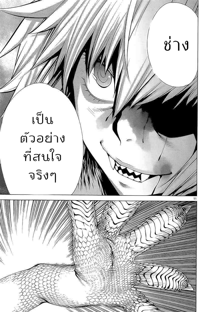 Killing Bites เขี้ยวพิฆาตพันธุ์ผสม 13-สัตว์ป่าที่คุ้นเคย