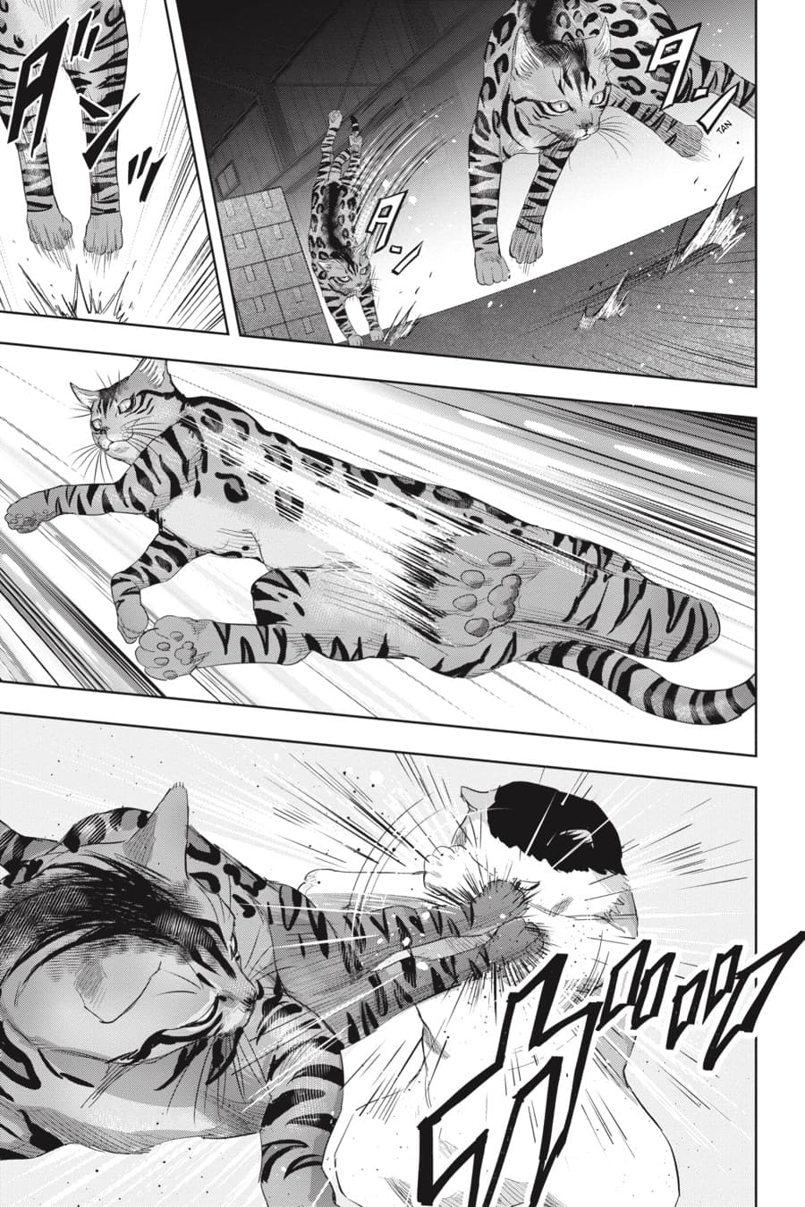 Nyankees 20-รวมพล