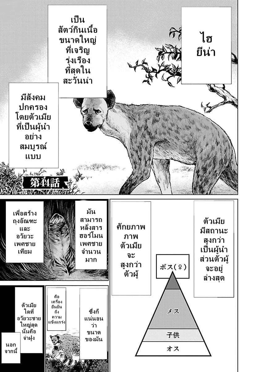 Killing Bites เขี้ยวพิฆาตพันธุ์ผสม 44-ไม่เจอกันนานนะ ยัยกระต่าย