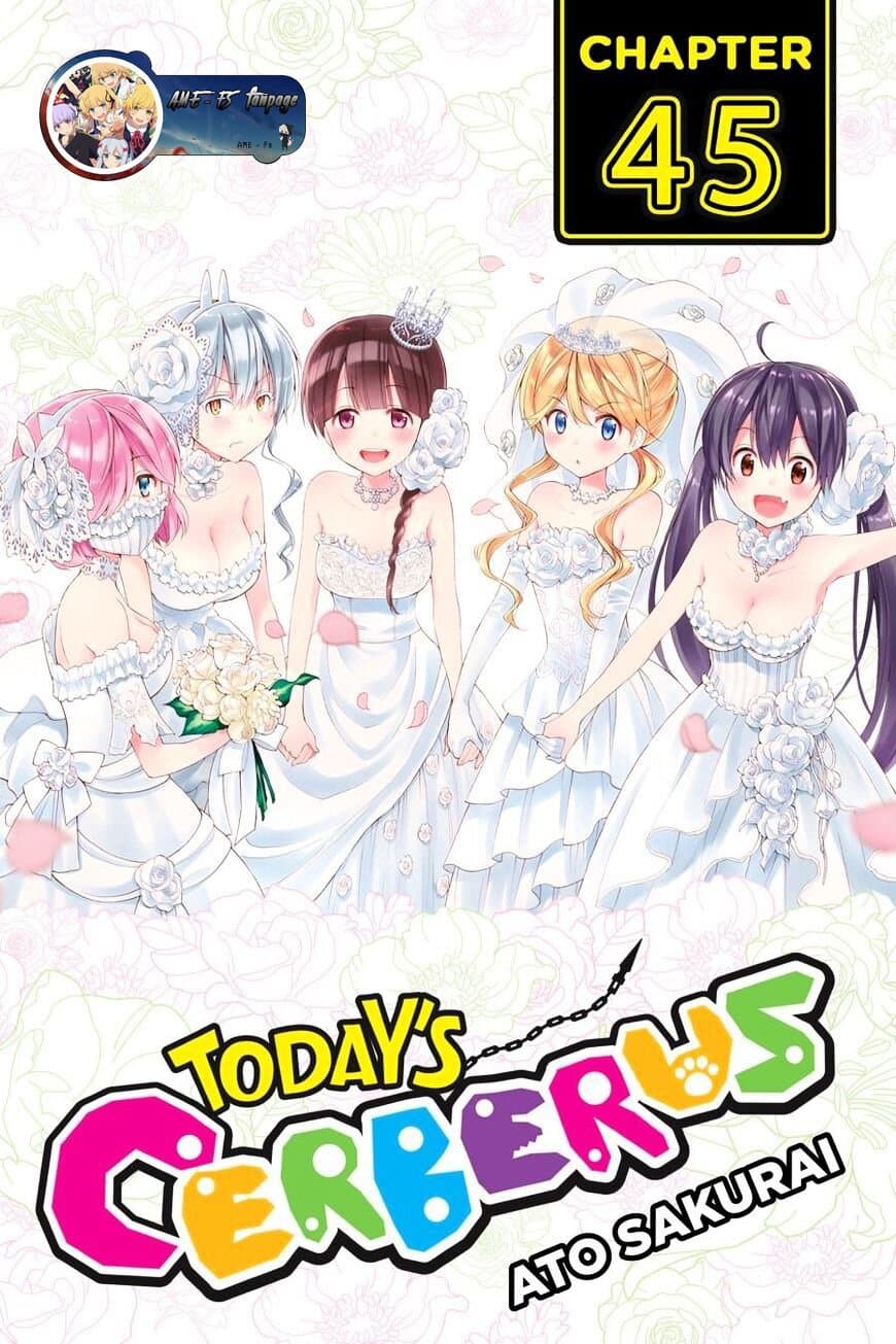 Kyou no Cerberus 45-คนพิเศษ