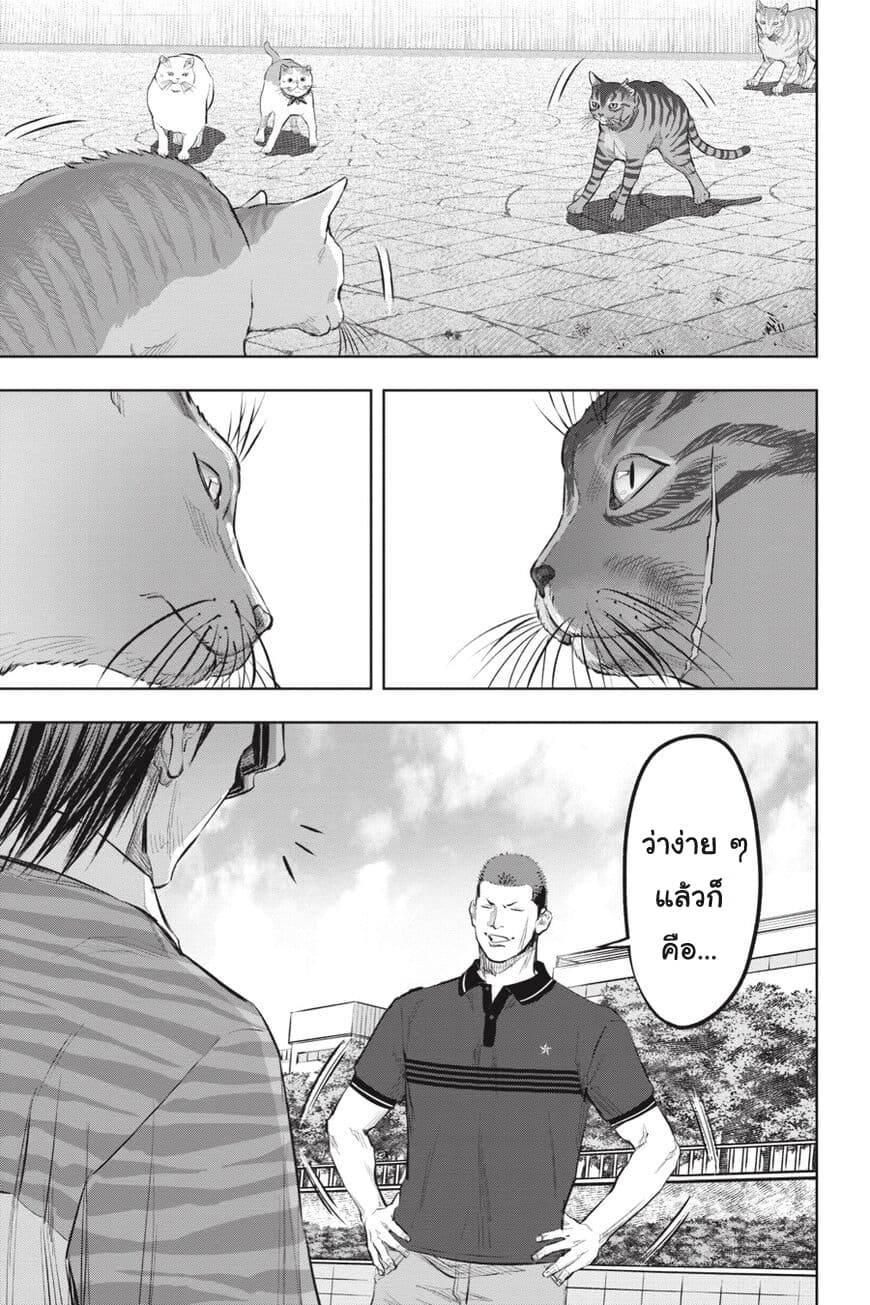 Nyankees 17-อิจฉาแบบแมวๆ