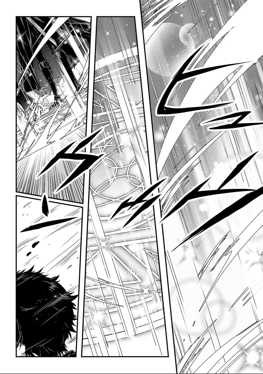 Assassin de aru ore no Sutetasu ga Yuusha yori mo Akiraka ni Tsuyoi Nodaga 13-13
