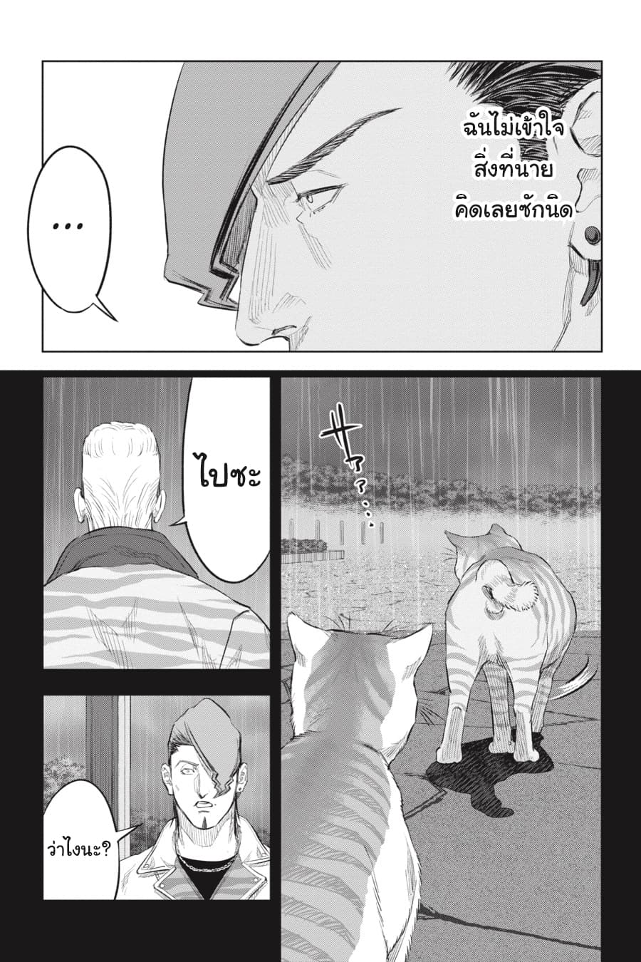 Nyankees 18-ในสายตาของบอส
