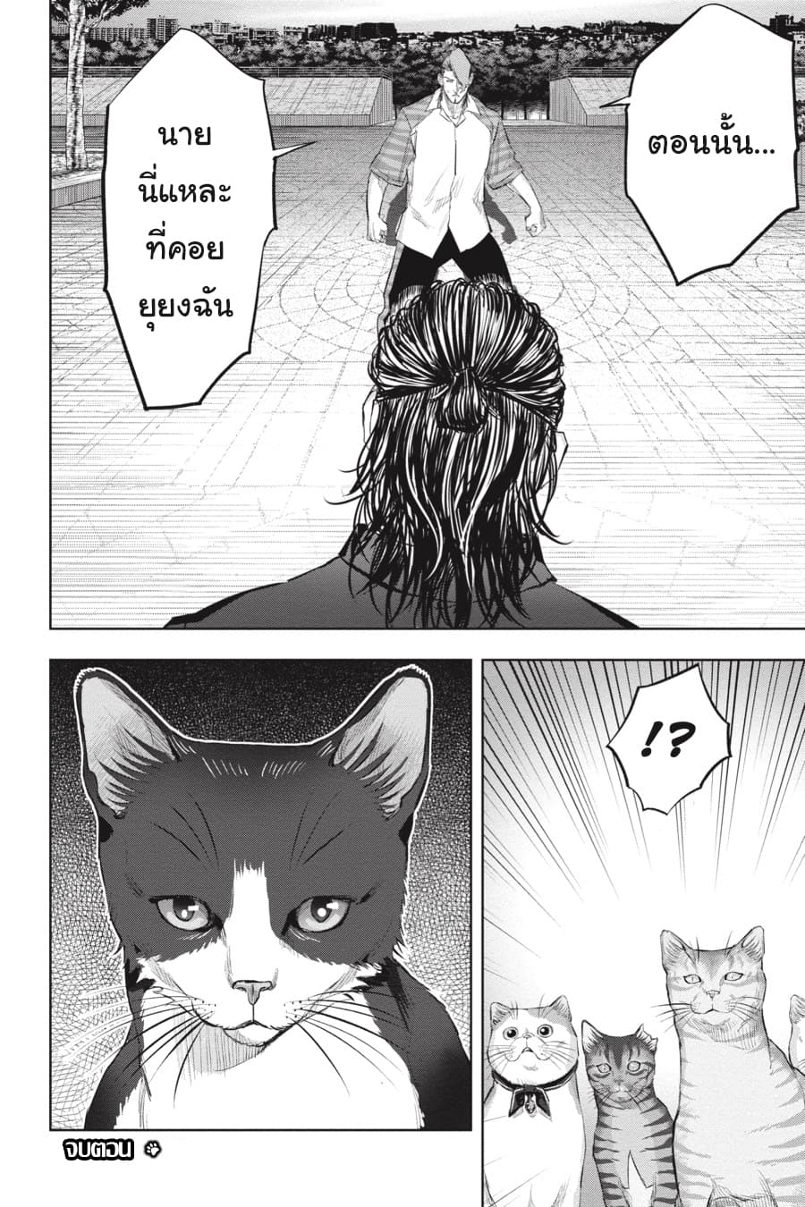 Nyankees 18-ในสายตาของบอส