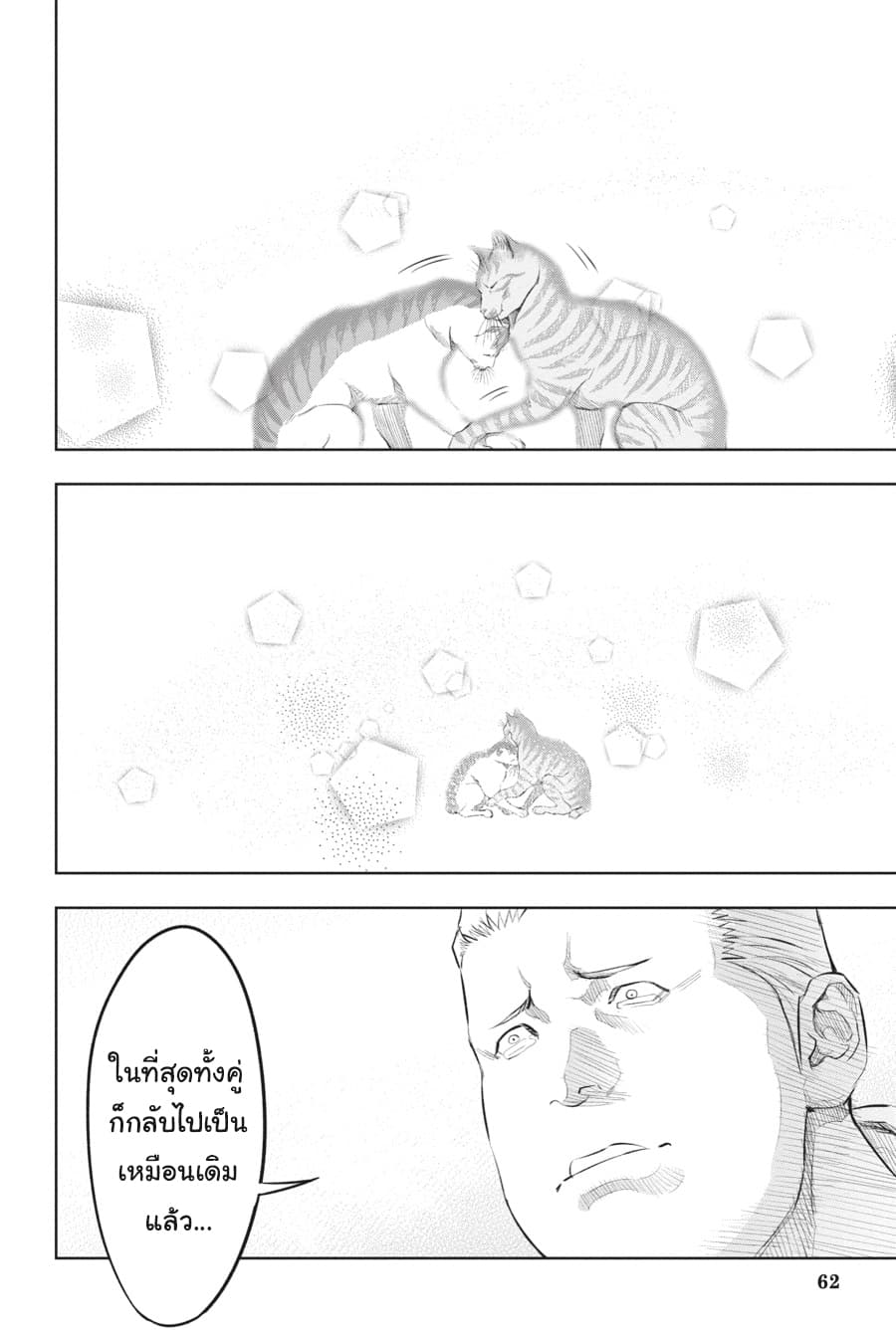 Nyankees 18-ในสายตาของบอส