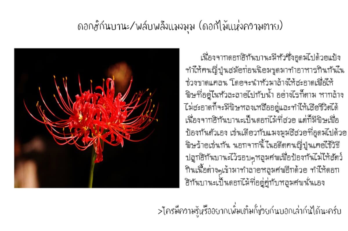 Shounen no Abyss 14-ฮิกันบานะ