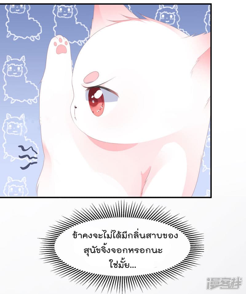 Fox Concubine Don't Play With Fire 0-0